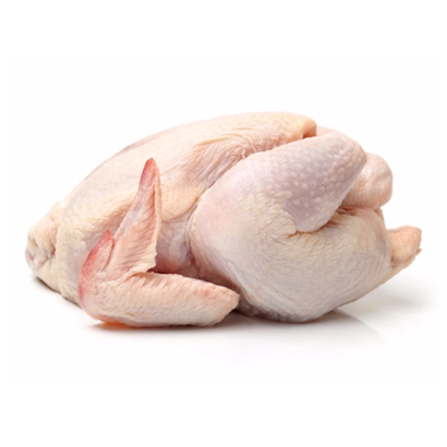 Turkey Chicken Meat